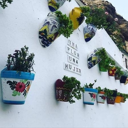 La Medina Baja Lägenhet Setenil De Las Bodegas Exteriör bild