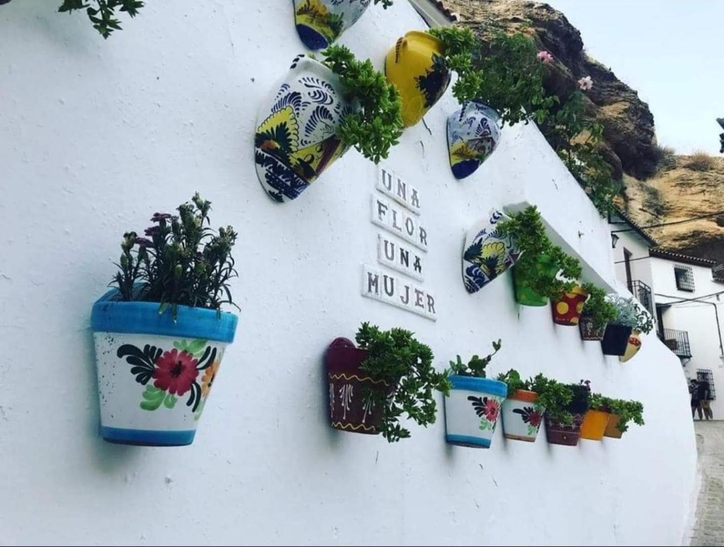La Medina Baja Lägenhet Setenil De Las Bodegas Exteriör bild